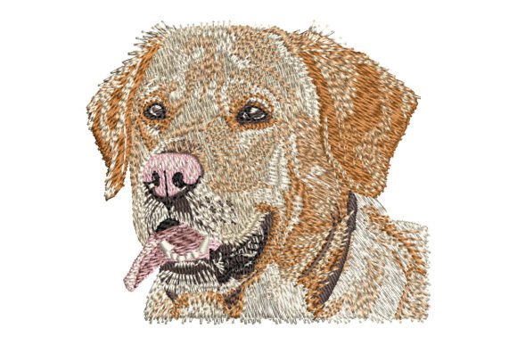 Reviewing the Yellow Labrador Retriever for Holiday Sales
