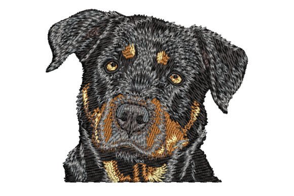 Rottweiler Embroidery: A Designer’s Holiday Review